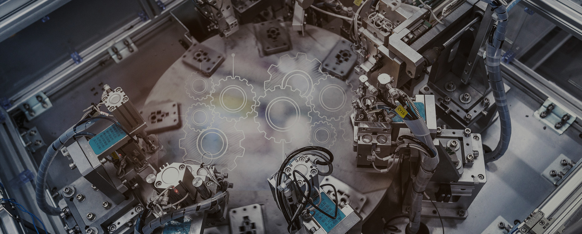 sunbet·官方(中国)