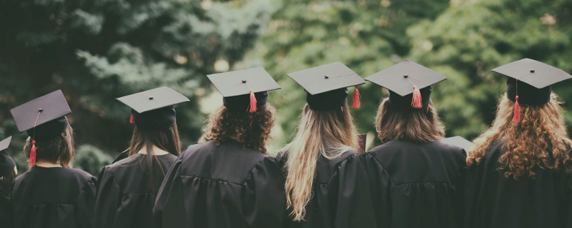 sunbet·官方(中国)