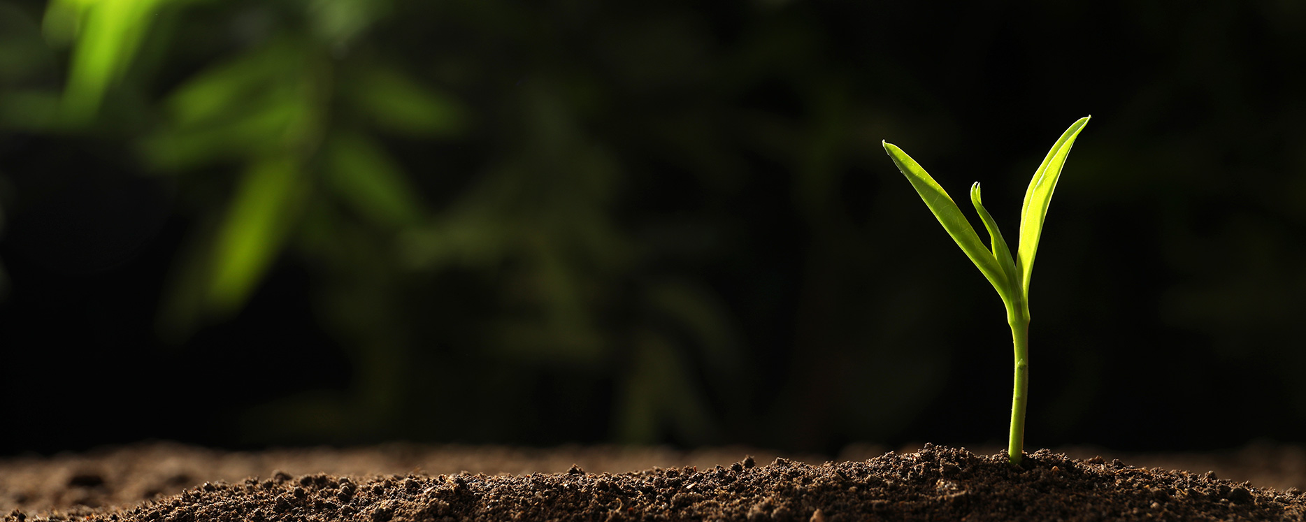 sunbet·官方(中国)